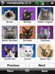 Read more about the article Cat Breed Reference for Windows Mobile (VGA version)
