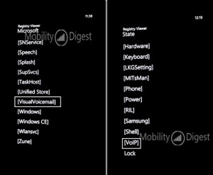 Read more about the article Windows Phone 7 might get VoIP support