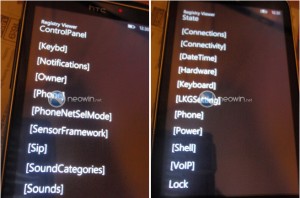Read more about the article Windows Phone 7 might get VoIP support and video calls