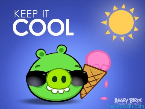 You are currently viewing Angry Birds Summer Pignic