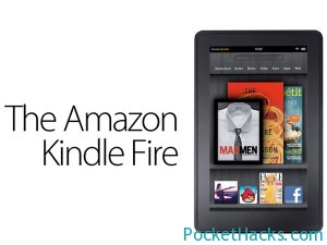 Read more about the article Kindle Fire Holding 17% of the Tablet Market