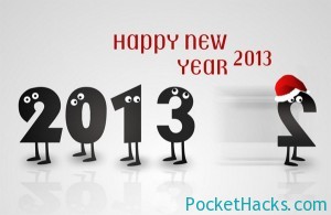Read more about the article Happy New Year 2013