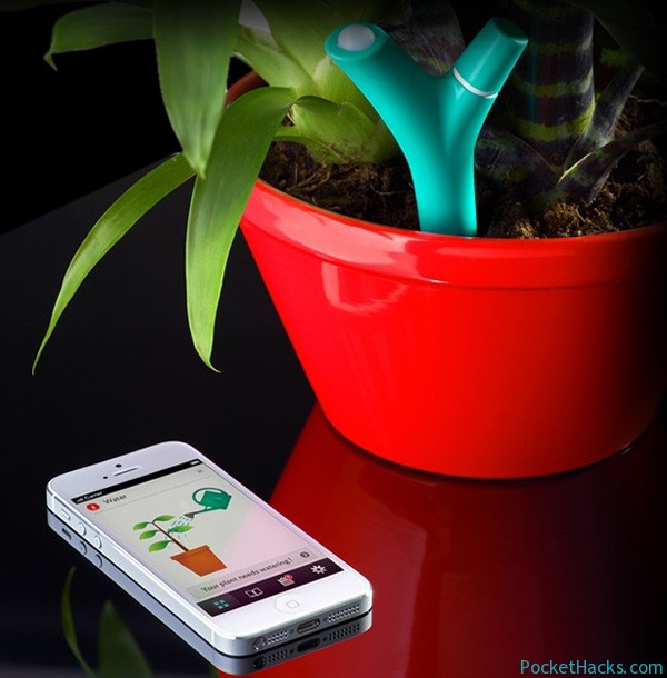Read more about the article Parrot Flower Power – Wireless Plant Sensor for Smartphones and Tablets