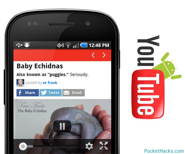 YouTube Player API for Android